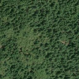 Satellite imagery of Panther Ridge, US