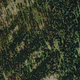 Satellite imagery of Gopher Ridge, US