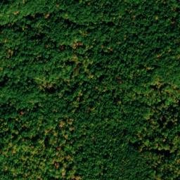Satellite imagery of Whiskey Point, US