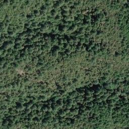 Satellite imagery of Oak Ridge, US