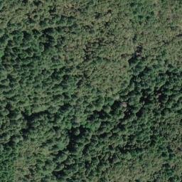 Satellite imagery of Oak Ridge, US