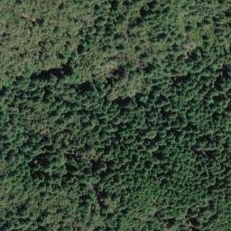 Satellite imagery of Oak Ridge, US