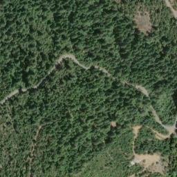 Satellite imagery of Gold Bug Mine, US