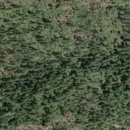 Satellite imagery of California Mine, US