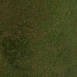 Satellite imagery of Spruce Hill, CA