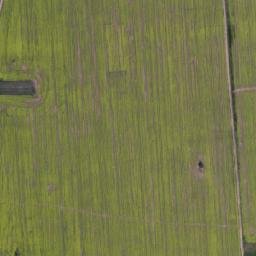 Satellite imagery of TT10/XIX/, BG