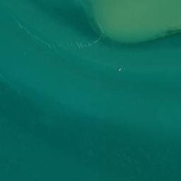 Satellite imagery of Swan Creek Point, US