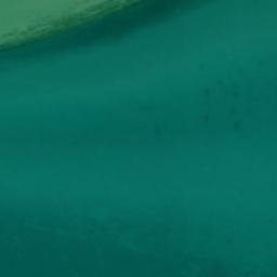 Satellite imagery of Swan Creek Point, US