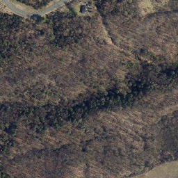 Satellite imagery of Elmwood Point, US