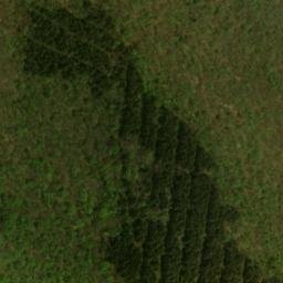 Satellite imagery of Spruce Hill, CA