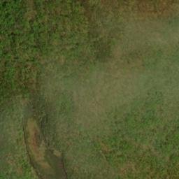 Satellite imagery of Spruce Hill, CA