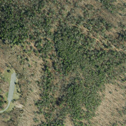 Satellite imagery of Indian Ladder, US