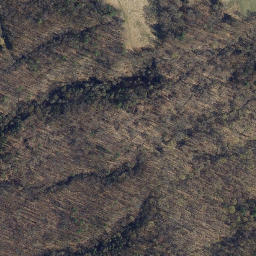 Satellite imagery of Cats Elbow Point, US