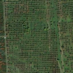 Satellite imagery of TT38B, BG