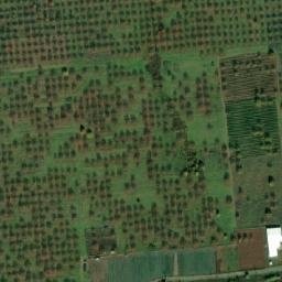 Satellite imagery of TT38B, BG