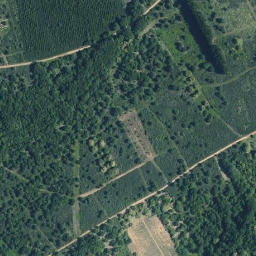 Satellite imagery of survey_point, ES