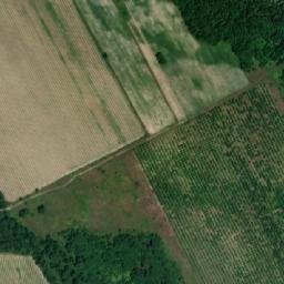 Satellite imagery of TT51, BG