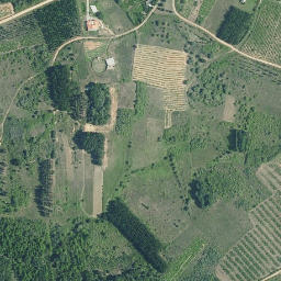 Satellite imagery of survey_point, ES