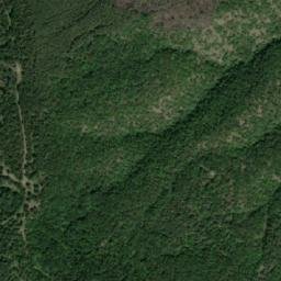 Satellite imagery of Gorchivitsa, BG