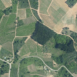 Satellite imagery of survey_point, ES