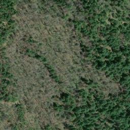 Satellite imagery of Golden Wedge Mine, US