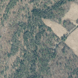 Satellite imagery of The Cliff, US