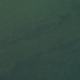 Satellite imagery of Big Rice Bay Point, CA