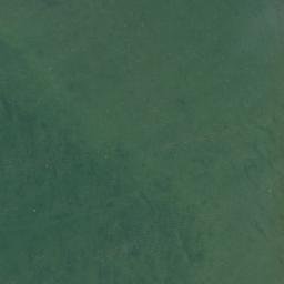 Satellite imagery of Little Rice Bay Point, CA