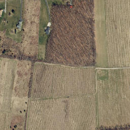Satellite imagery of Raymond Point, US
