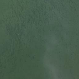 Satellite imagery of Little Rice Bay Point, CA