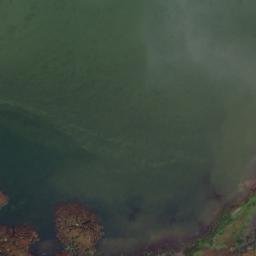Satellite imagery of Little Rice Bay Point, CA