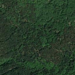 Satellite imagery of Tsareva Polyana, BG