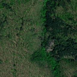 Satellite imagery of TT59, BG