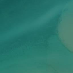 Satellite imagery of Fish Point, US