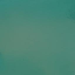 Satellite imagery of Fish Point, US