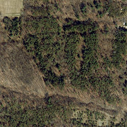 Satellite imagery of Chidsey Point, US