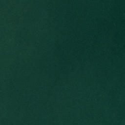 Satellite imagery of Chidsey Point, US
