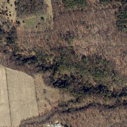 Satellite imagery of Castle Point, US