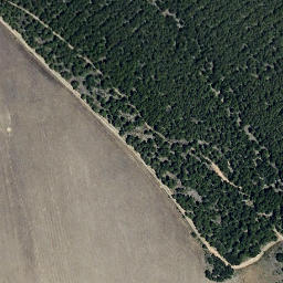 Satellite imagery of survey_point, ES