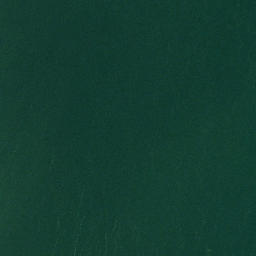 Satellite imagery of Chidsey Point, US