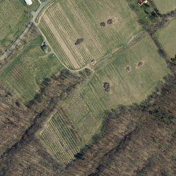Satellite imagery of Lansing Point, US