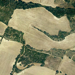Satellite imagery of survey_point, FR