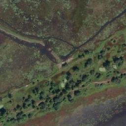 Satellite imagery of Courtright Ridge, CA