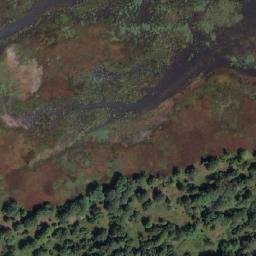 Satellite imagery of Long Point, CA