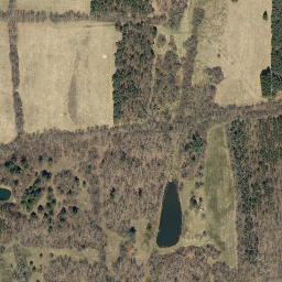 Satellite imagery of Grippy Quarry, US