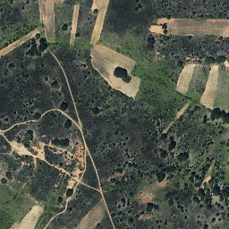 Satellite imagery of survey_point, ES