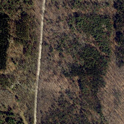 Satellite imagery of Bluff Point, US