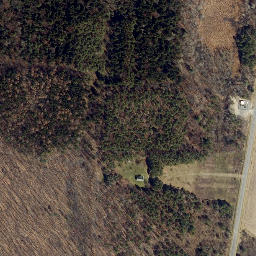 Satellite imagery of Bluff Point, US