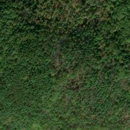Satellite imagery of Windy Ridge, US