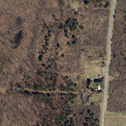 Satellite imagery of Bluff Point, US